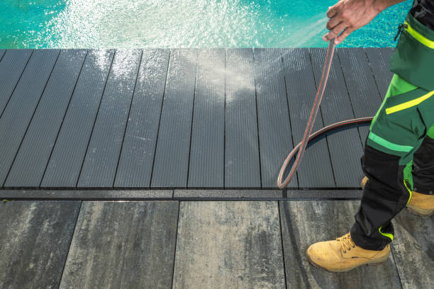 Best Local Pressure Washing Services  in Sylvester, GA