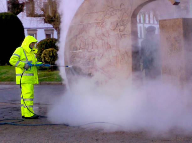Best Exterior Home Cleaning  in Sylvester, GA