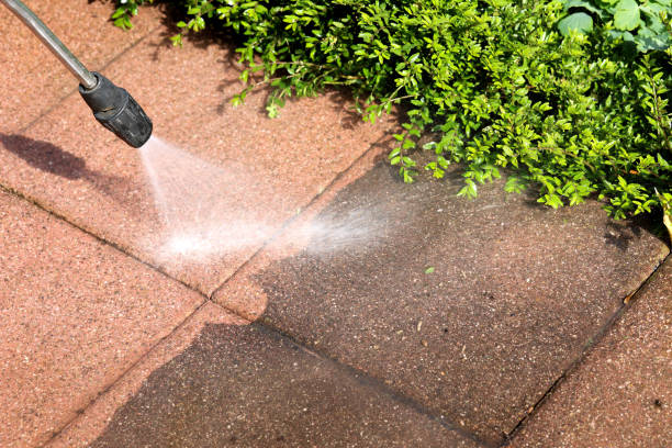 Best Power Washing Near Me  in Sylvester, GA
