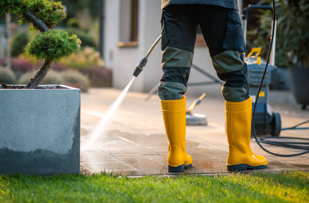 Best Roof Pressure Washing  in Sylvester, GA